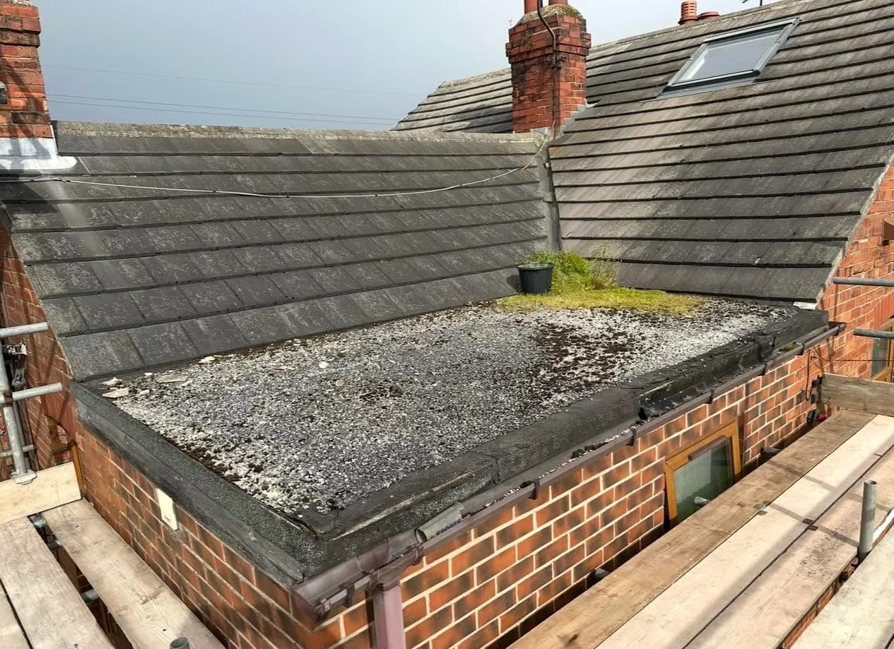 The old felt flat roof, covered in moss and gravel